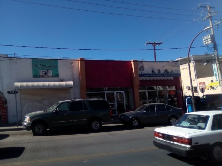 21977 floreria jessica 768x576