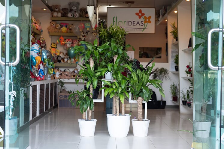 21991 floreria florideascancun