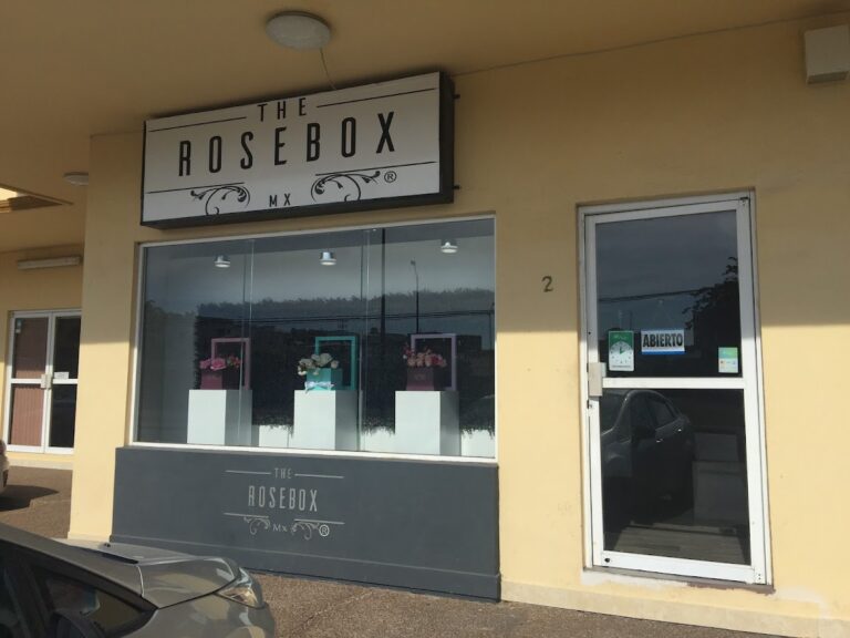 22005 the rosebox floreria 768x576