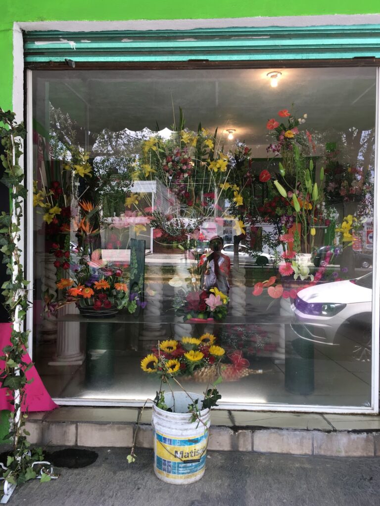 22013 floreria tlaxcala 768x1024