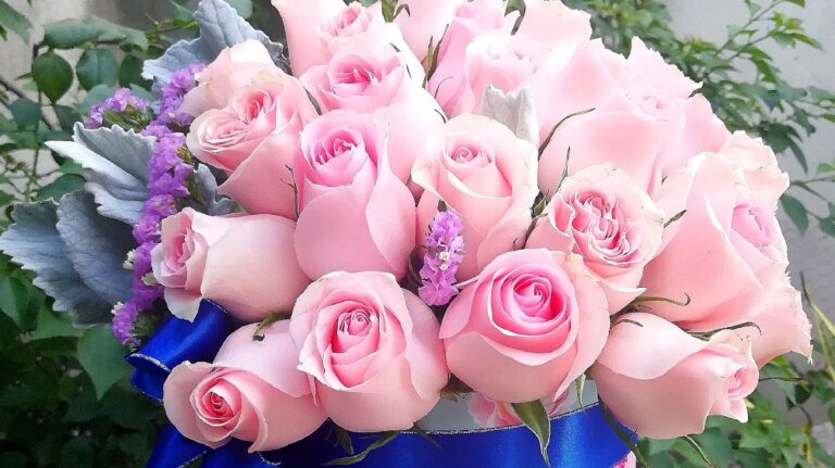 22046 floreria riviera veracruz 768x431