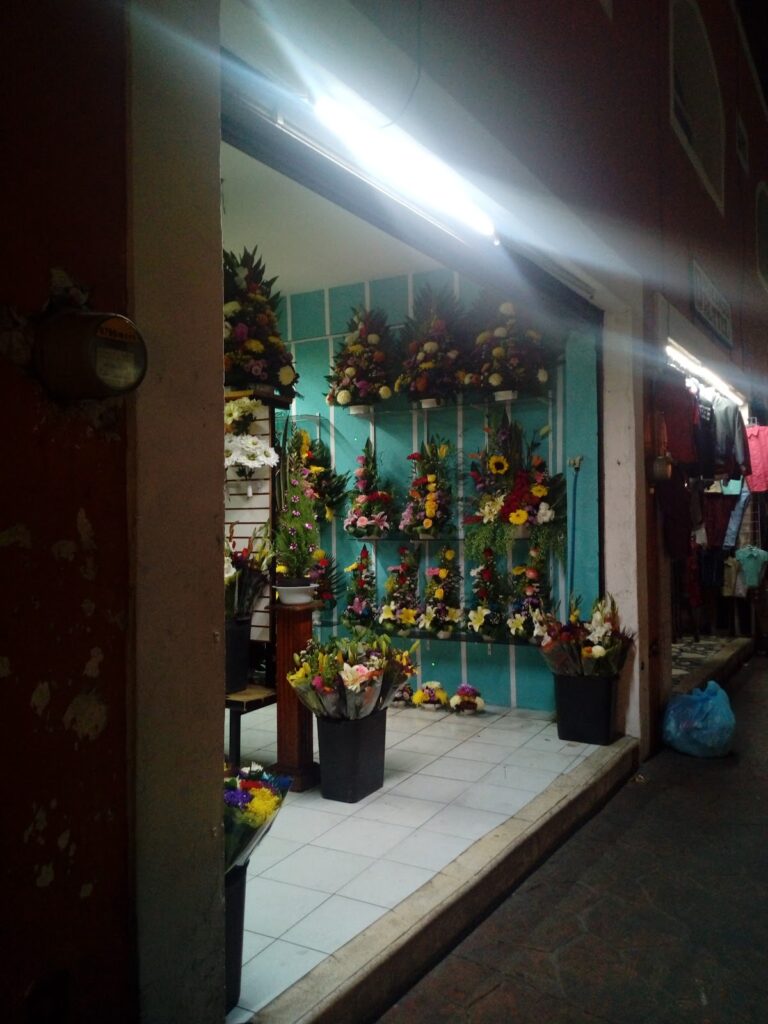 22056 floreria cristo rey 768x1024