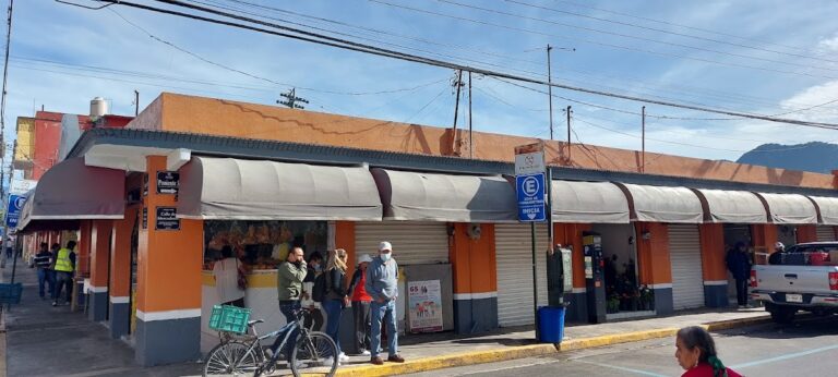 22067 mercado de flores venustiano carranza 768x346