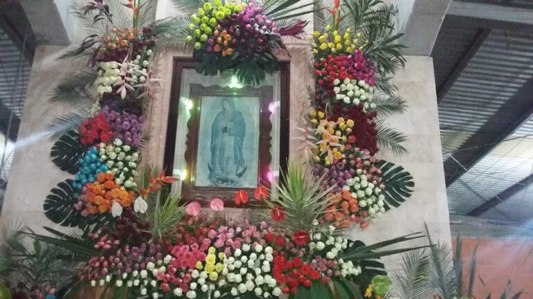 22090 floreria plateros 768x432