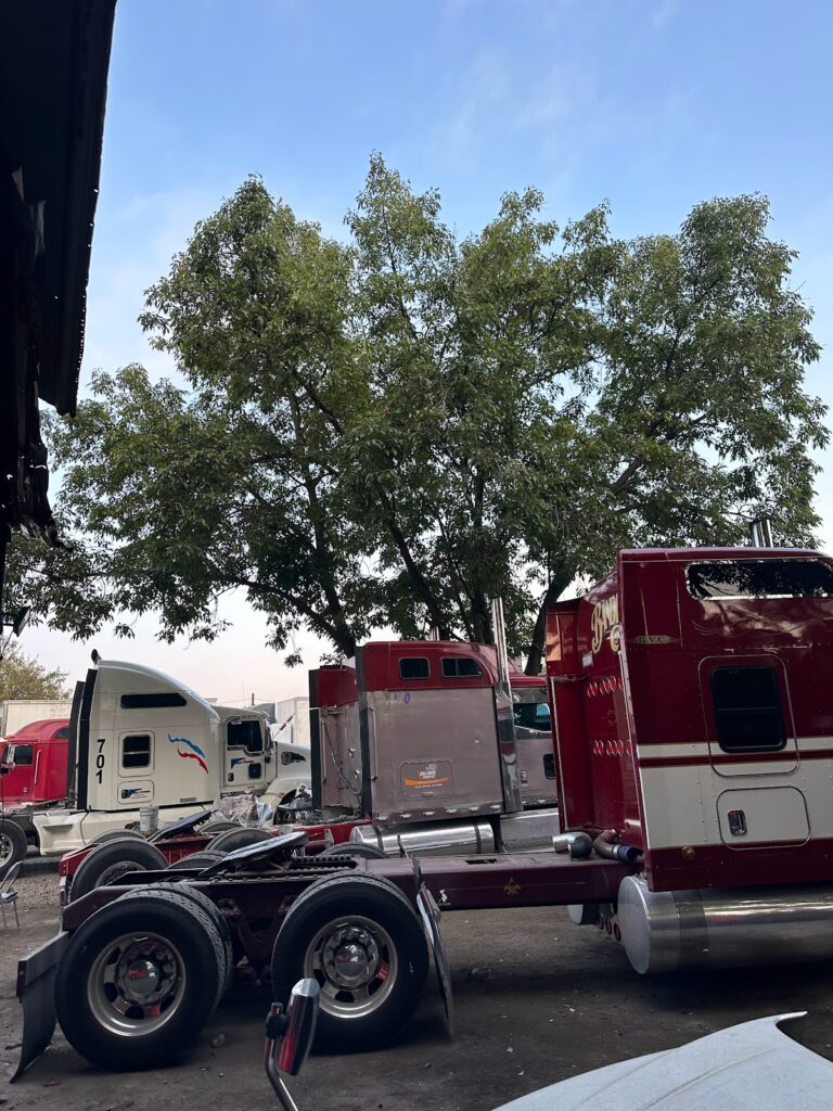 22272 taller mecanico diesel salazar 768x1024