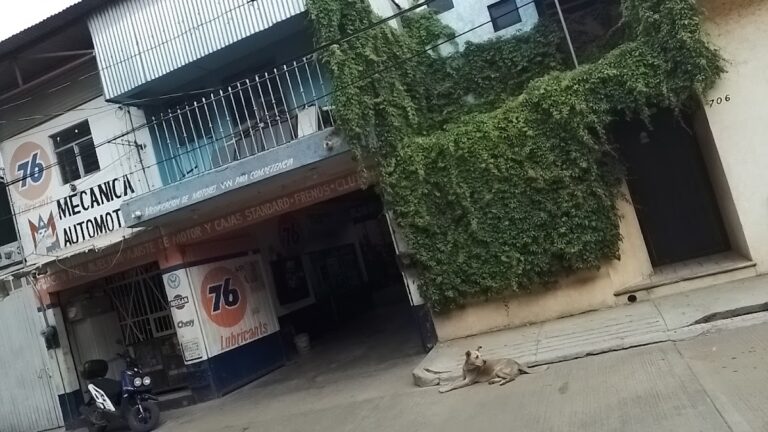 22357 taller mecanico merlin 768x432