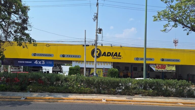 22609 radial llantas matriz palmas 768x433