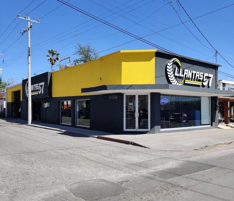 22670 llantas 57 768x661