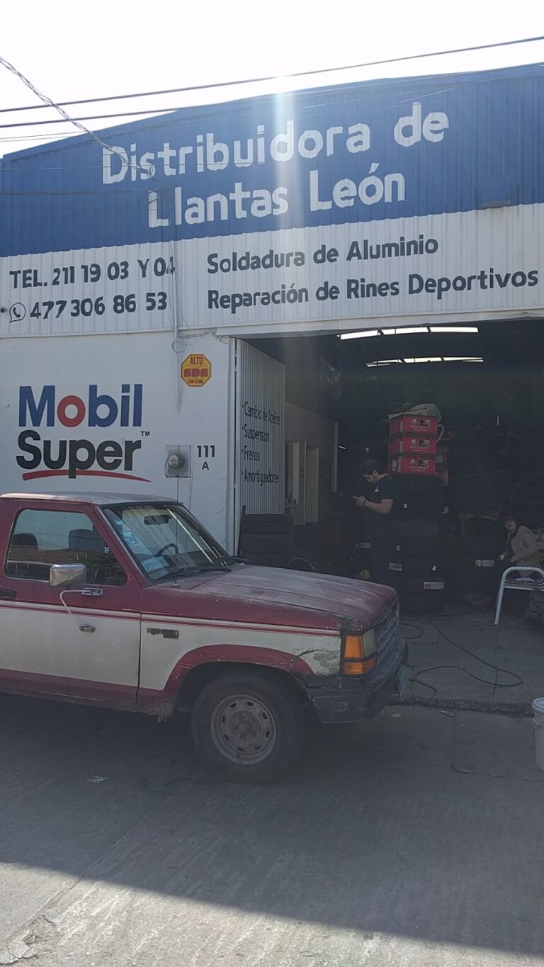 22704 distribuidora de llantas de leon 768x1365
