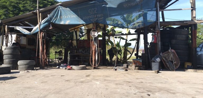 22774 llantera movil el raton veloz 768x374