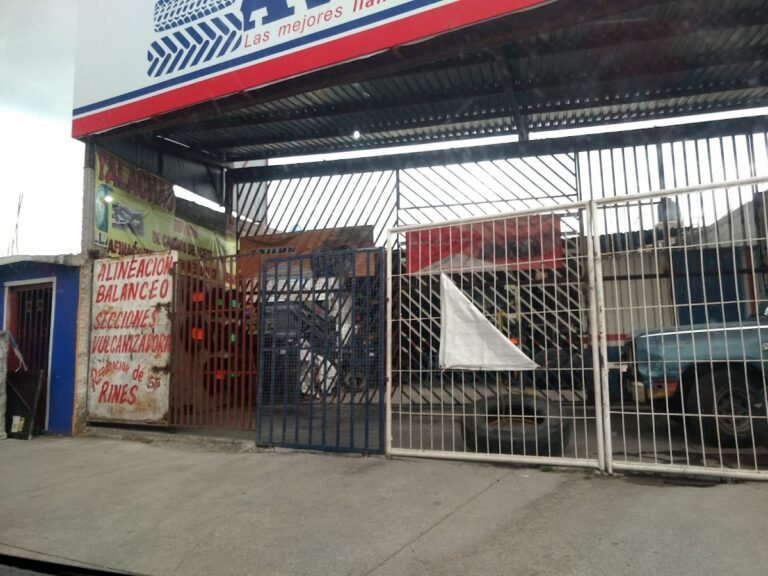 22799 avante llantas seminario 768x576