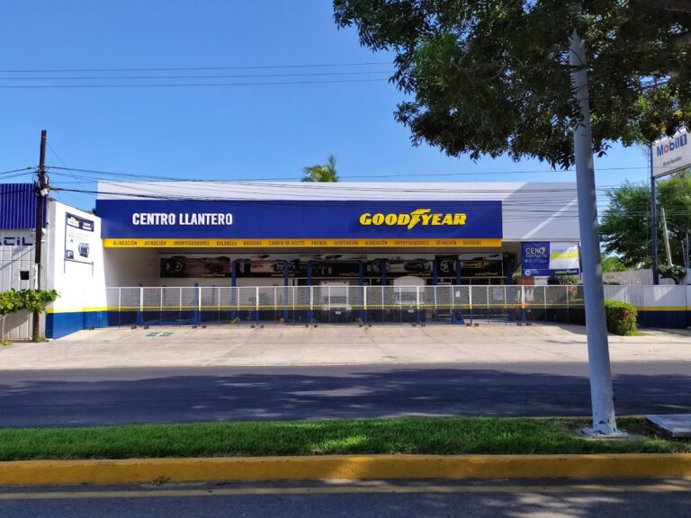 22897 centro llantero goodyear 8211 cellosa puerto escondido 768x576