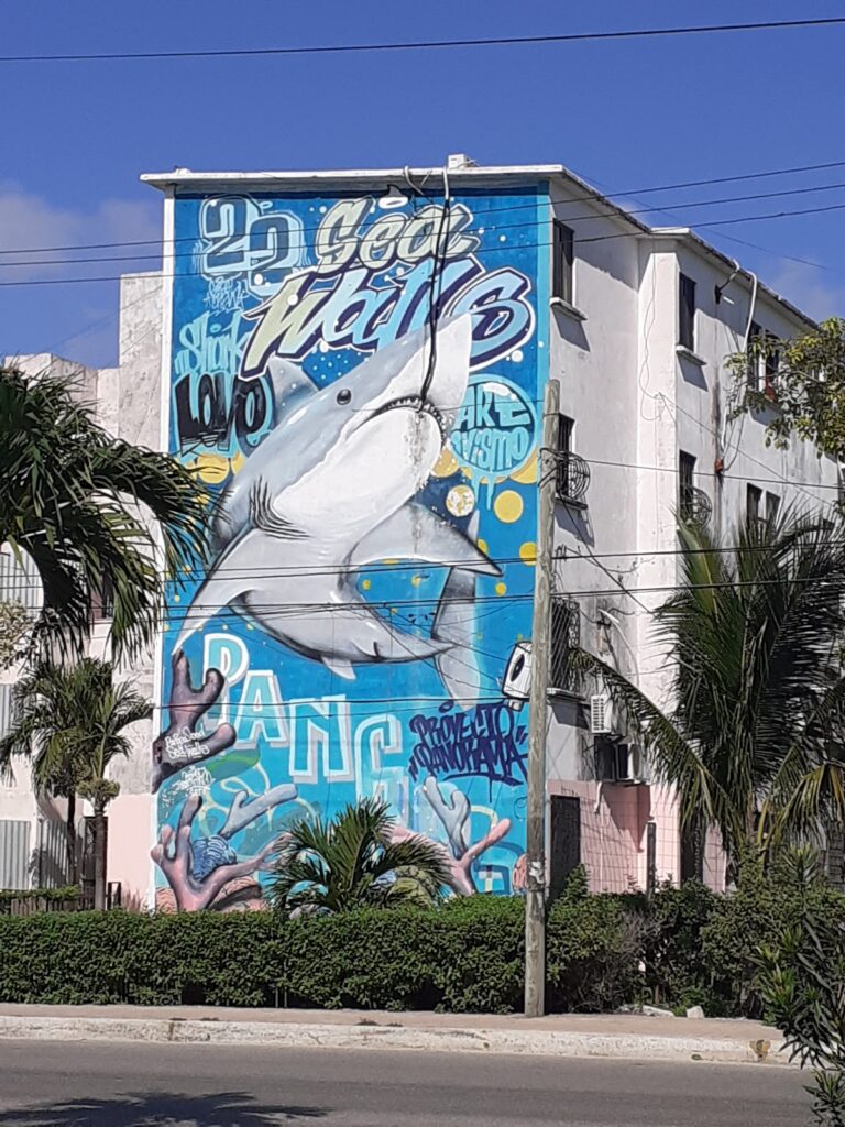 22925 llantera bonampak 768x1024