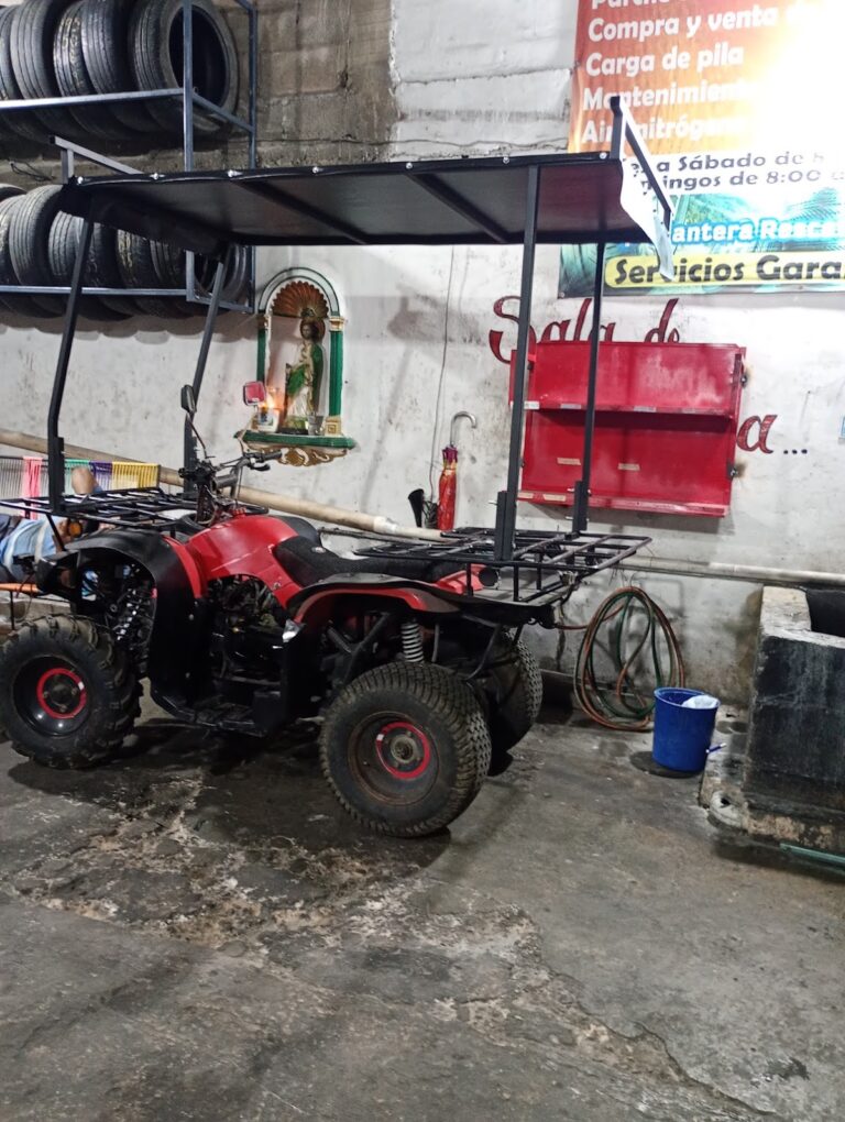 23038 llantera chay 768x1020