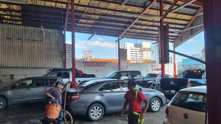 23078 lavado canon johnson 768x432