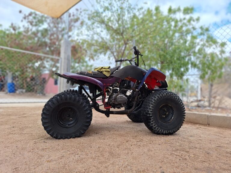 23115 lavado de autos 768x576