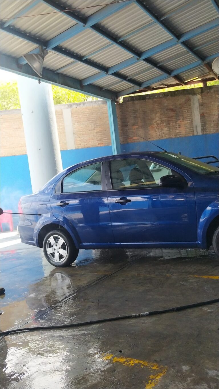 23165 car wash 768x1365