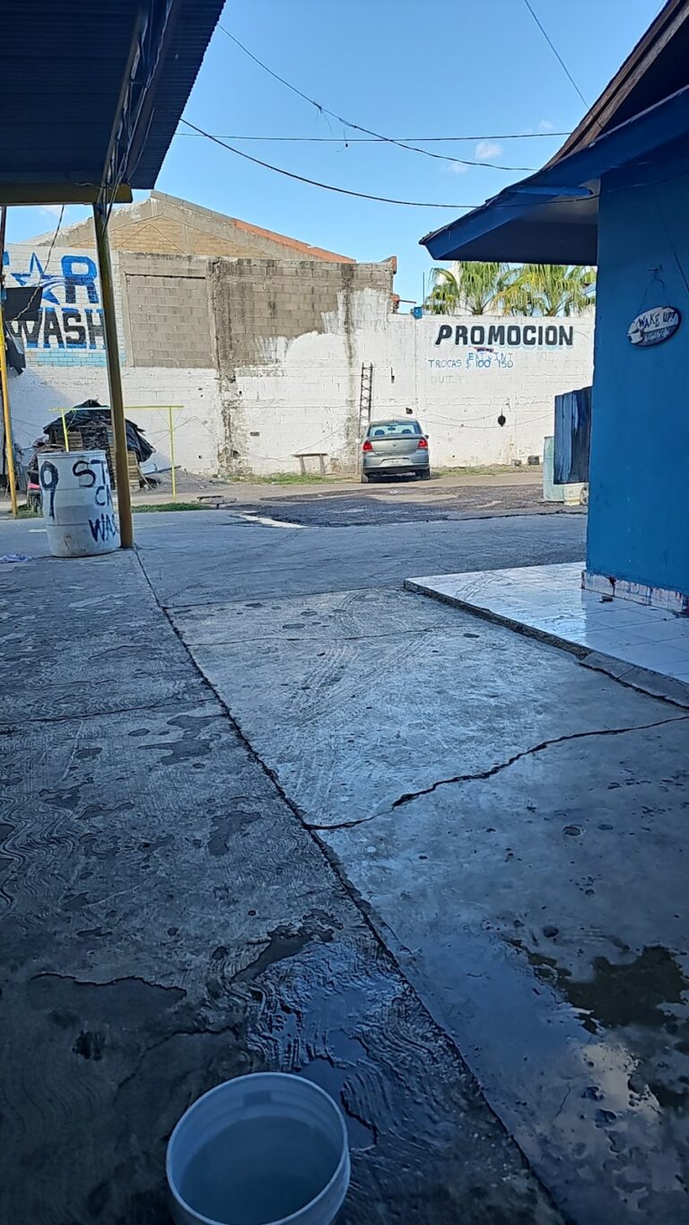 23208 star car wash 768x1365