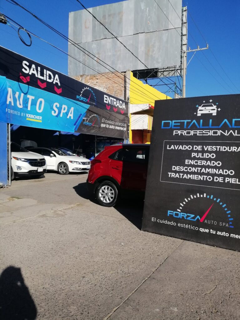 23278 forza auto spa 768x1024