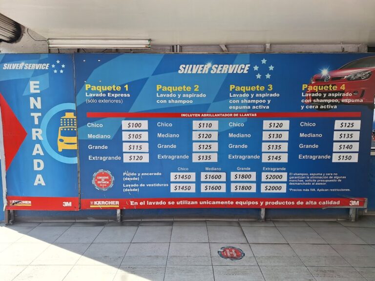 23306 silver service 768x576