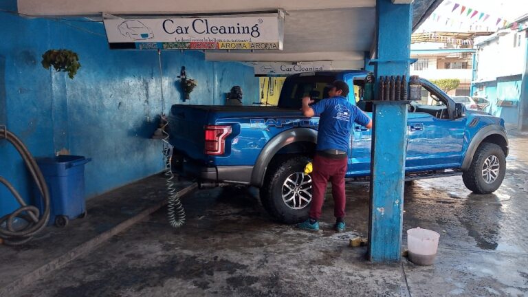 23317 car cleaning 768x432