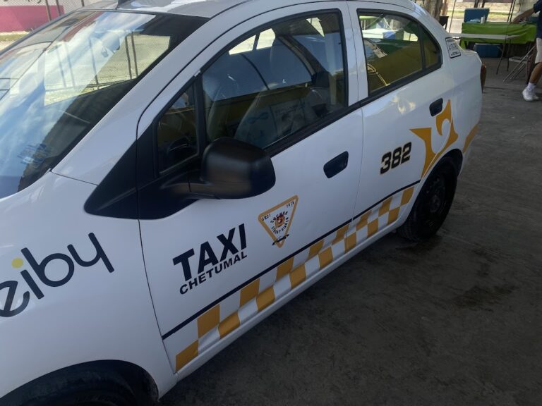 23433 car detailing chetumal 768x576