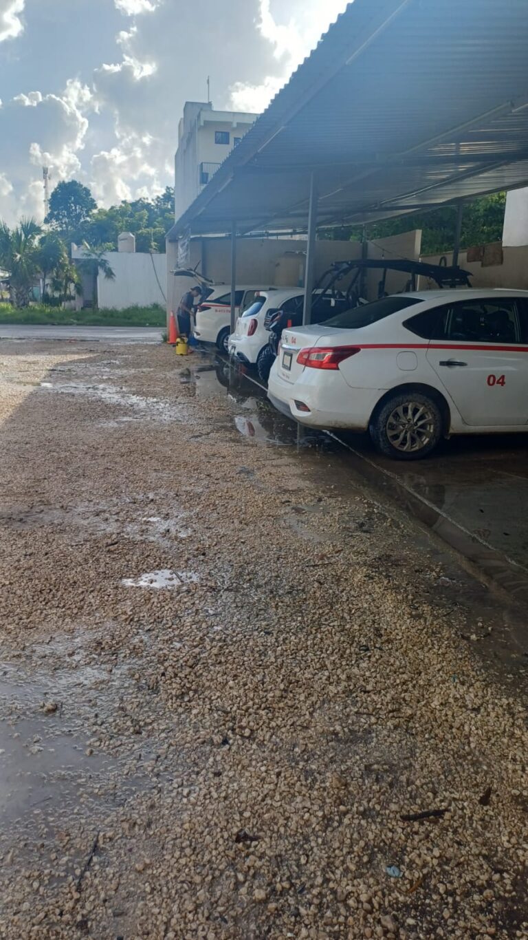 23475 auto lavado rg 768x1366