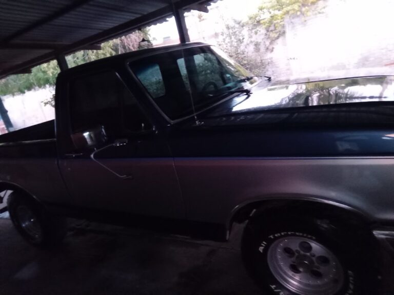 23481 auto lavado a domicilio mazatlan sin 768x576