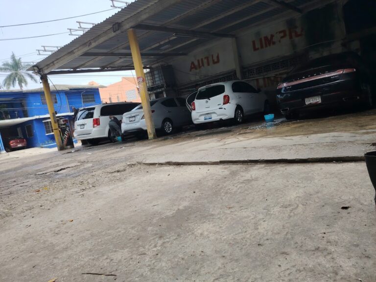 23493 auto limpio 768x576