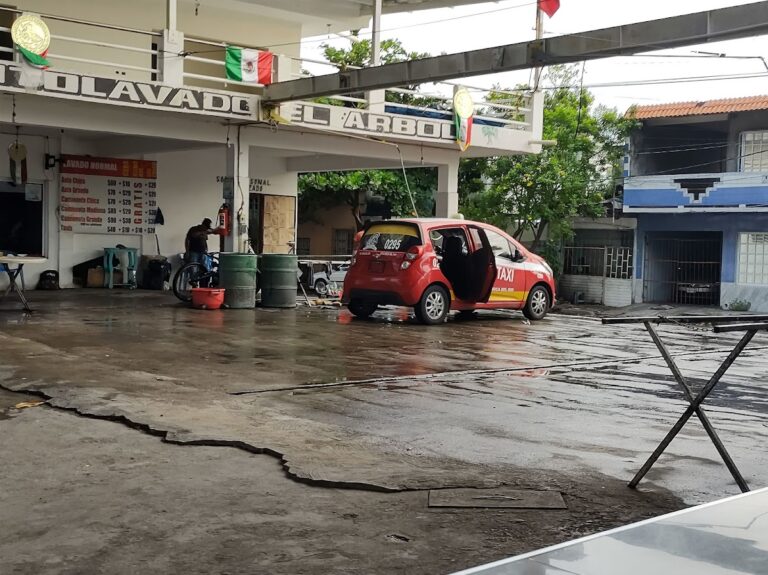 23523 auto lavado el arbol 768x575