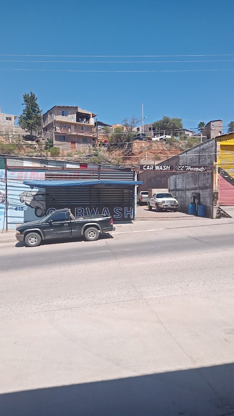 23558 car wash 768x1365