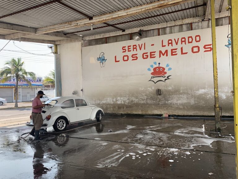 23562 servi lavado los gemelos 768x576