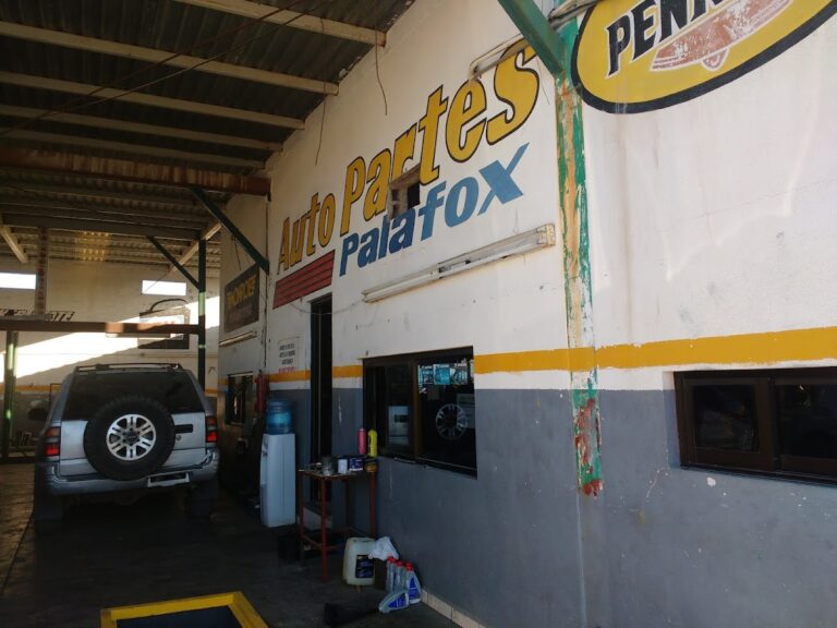 23637 autopartes palafox 768x576