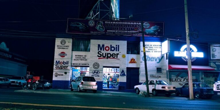 23740 refaccionaria auto partes de leon s.a. de c.v 768x384