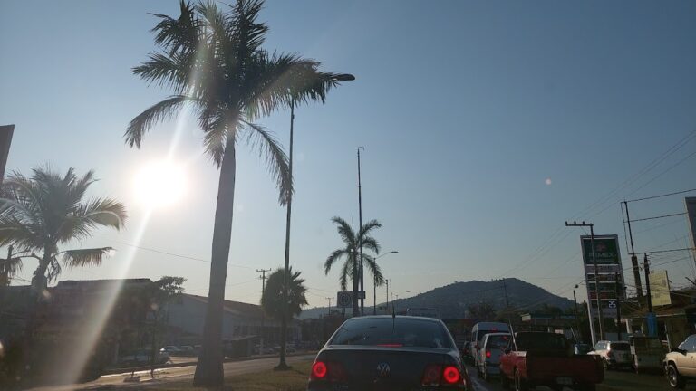 23803 autopartes peregrino 768x432