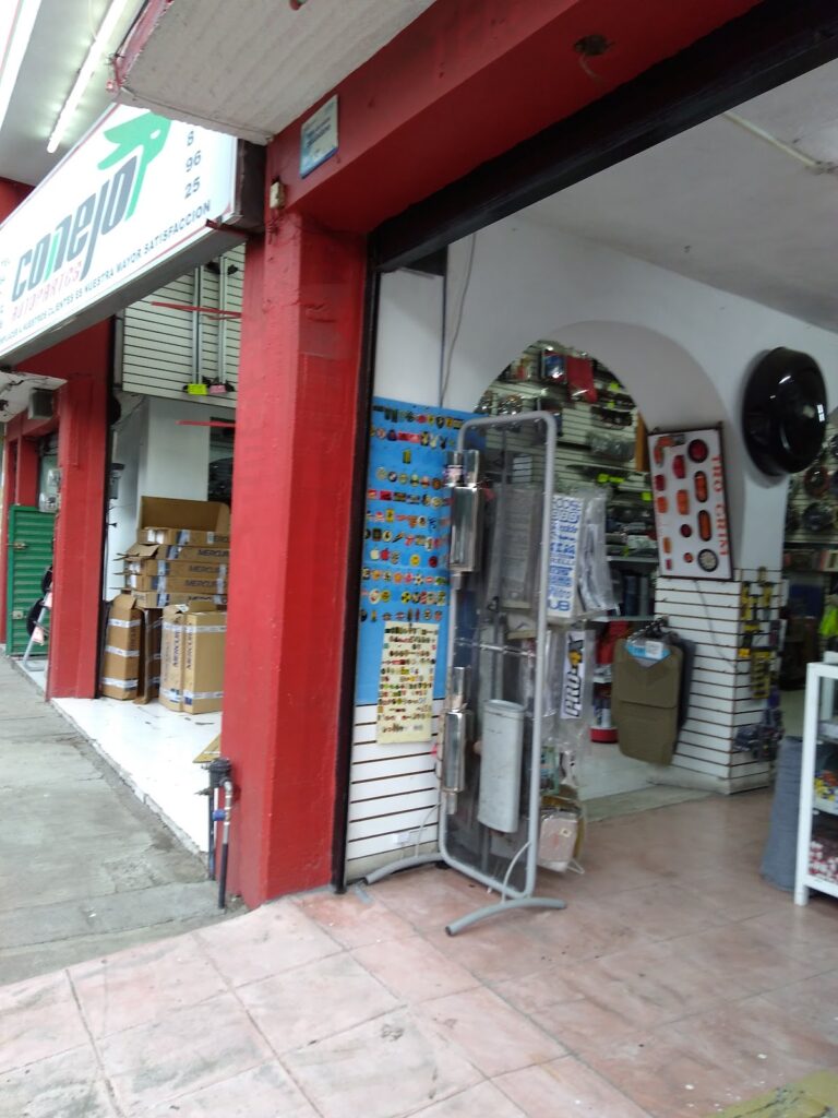 23809 autopartes conejo 768x1024