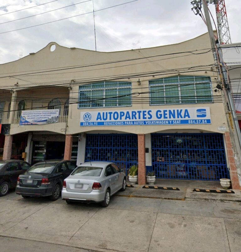 23970 autopartes genka 768x801