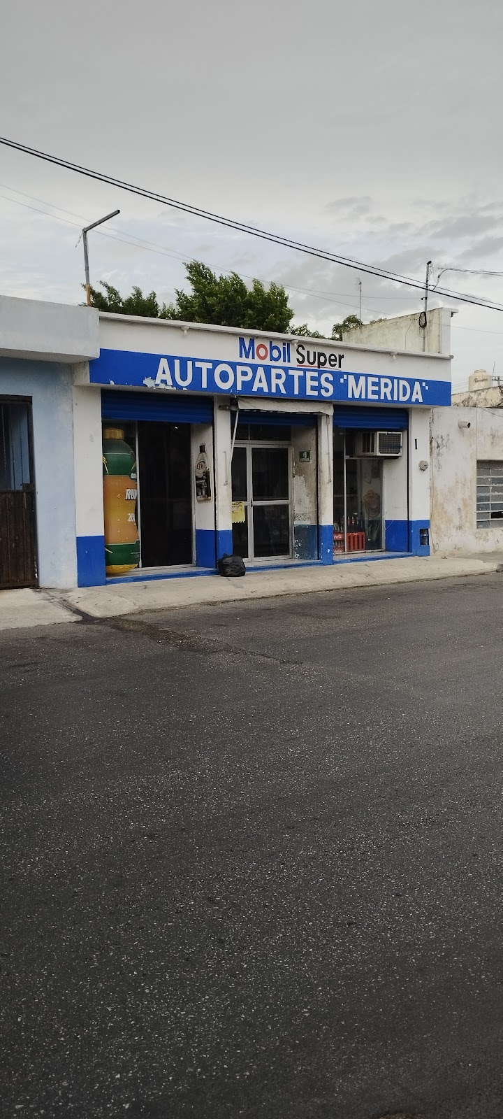 24078 autopartes merida