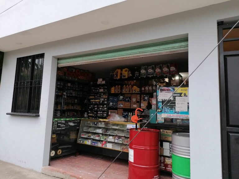 24090 refaccionaria roman 768x576