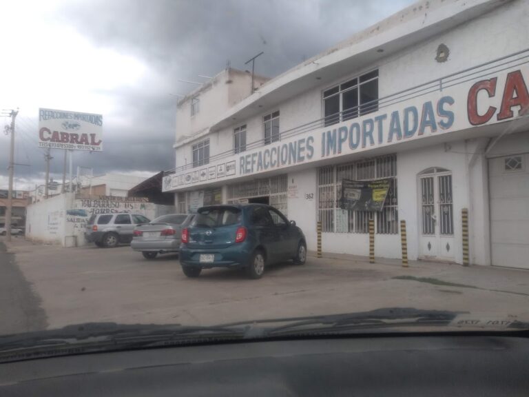 24098 refacciones importadas cabral 768x576