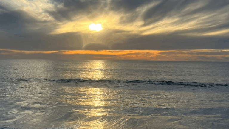 24115 ronival real estate 768x433