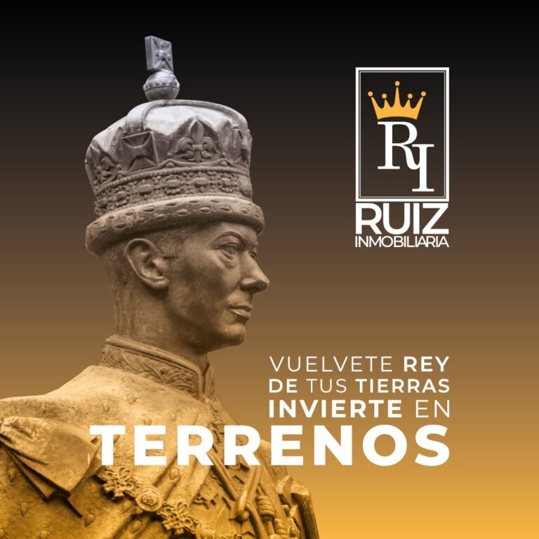 24322 ruiz inmobiliaria 768x768