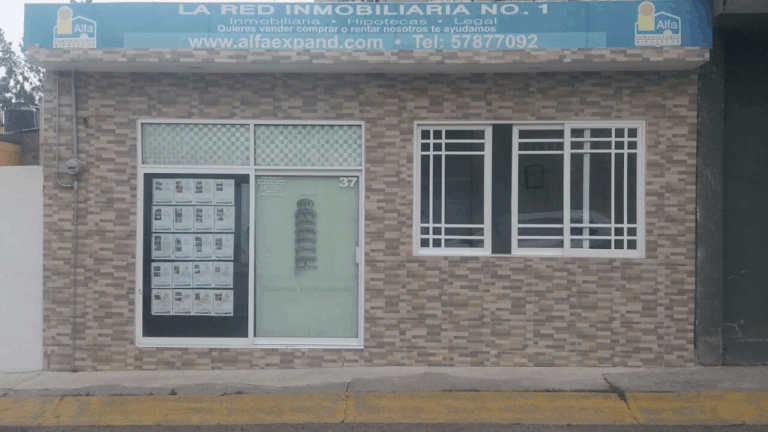 24358 alfa inmobiliaria expand 768x432