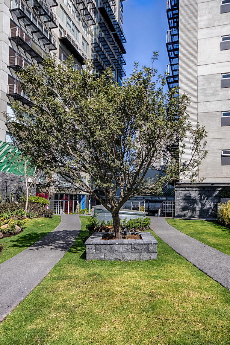 24364 df bienes raices inmobiliaria en ciudad de mexico y tlalnepantla