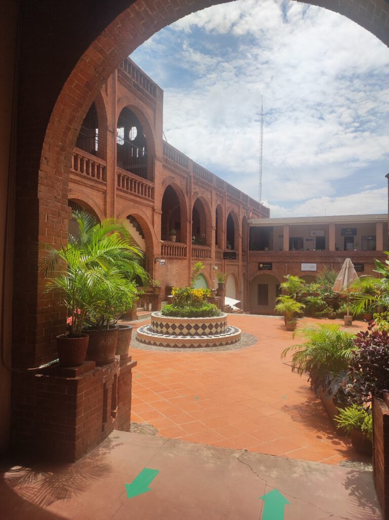 24385 century 21 nova inmobiliaria 768x1027