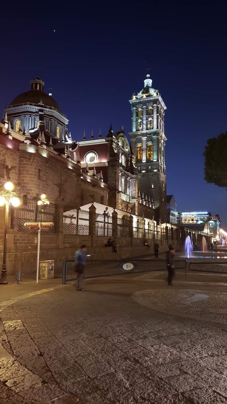 24450 drym inmobiliaria 768x1365