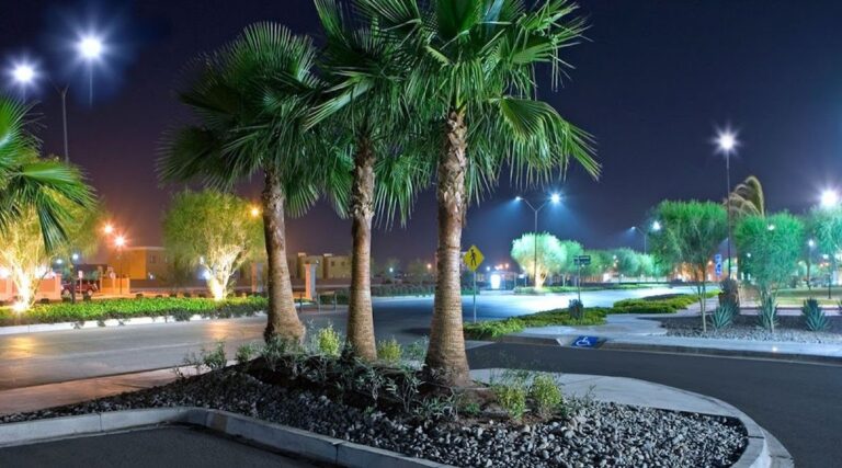 24541 lander 768x427