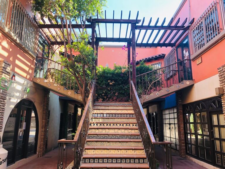 24643 notaria publica no 5 768x576