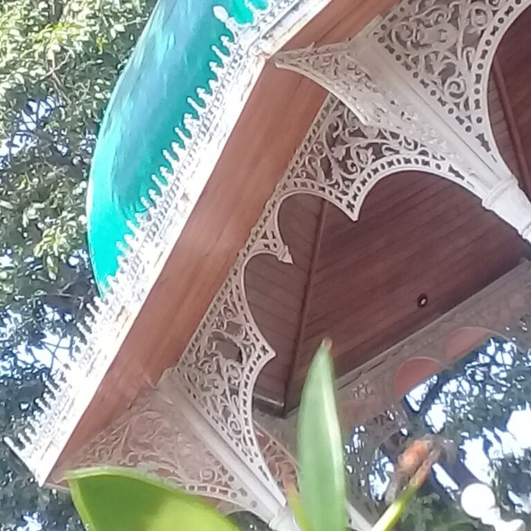 24724 notaria publica no. 1 768x768