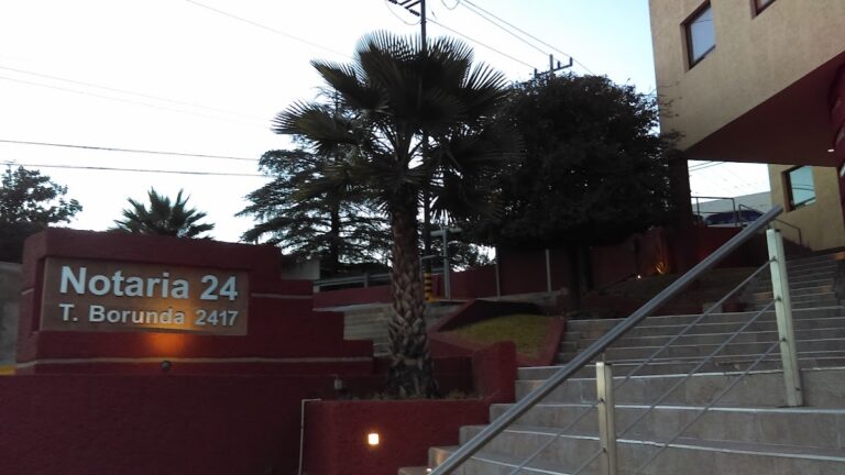 24774 notaria publica no. 24 768x432
